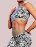 Albino Python Sports Bra-Sports bra-bootysculpted