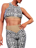Albino Python Sports Bra
