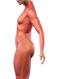 Red Mesh Unitard