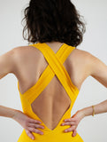 Bumblebee Yellow Unitard