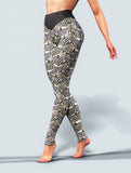 Zebra's Illusions Yoga Pants-High waisted leggings-bootysculpted